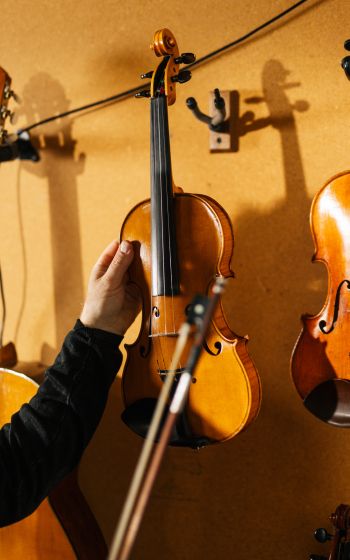 violin, musical instrument Wallpaper 800x1280