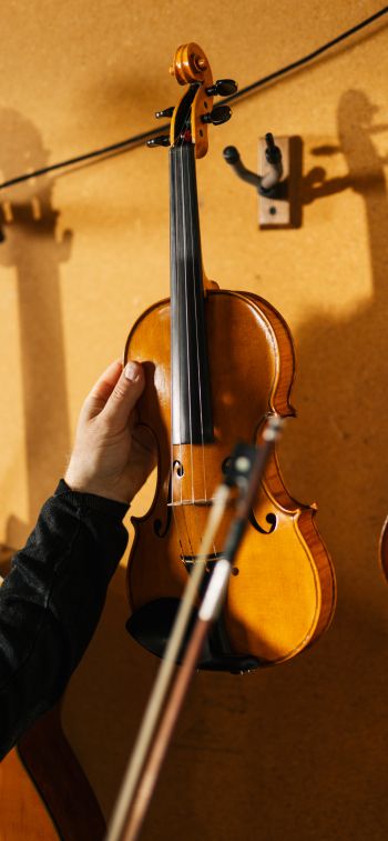 violin, musical instrument Wallpaper 828x1792
