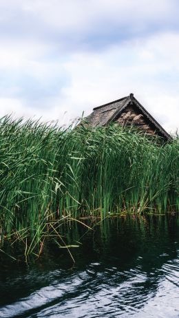 house in the reeds Wallpaper 2160x3840