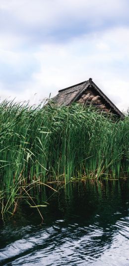 house in the reeds Wallpaper 1440x2960