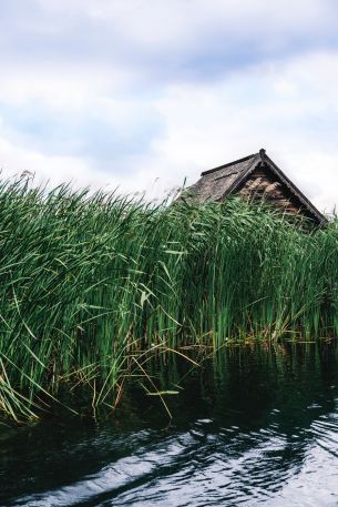 house in the reeds Wallpaper 4000x6000