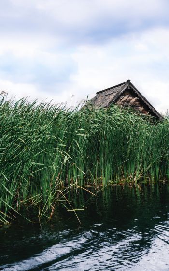 house in the reeds Wallpaper 1752x2800