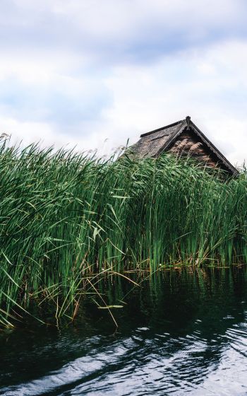 house in the reeds Wallpaper 1200x1920