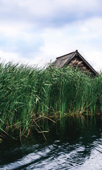 house in the reeds Wallpaper 1200x2000