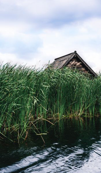 house in the reeds Wallpaper 600x1024
