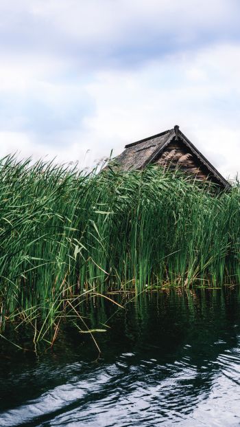 house in the reeds Wallpaper 640x1136