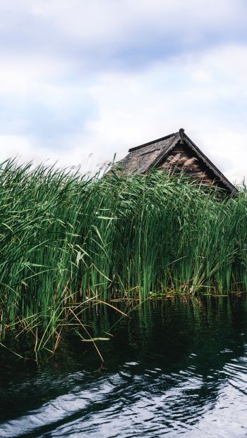 house in the reeds Wallpaper 720x1280