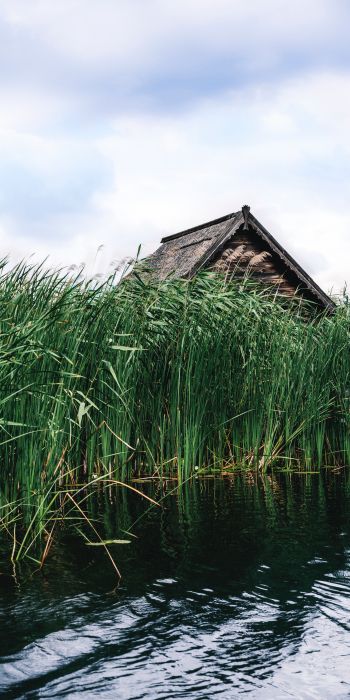 house in the reeds Wallpaper 720x1440