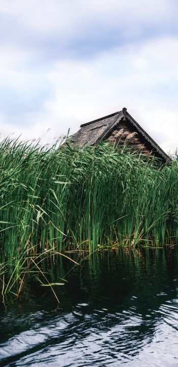 house in the reeds Wallpaper 1440x2960