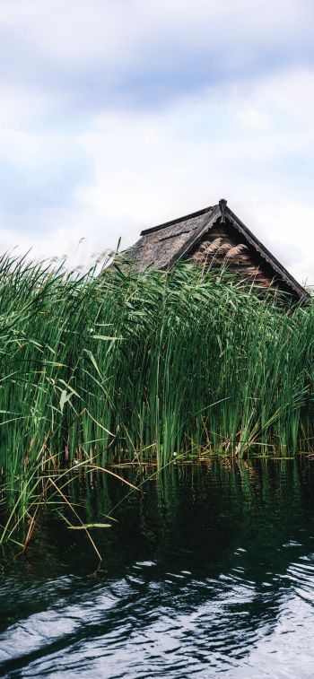 house in the reeds Wallpaper 1125x2436