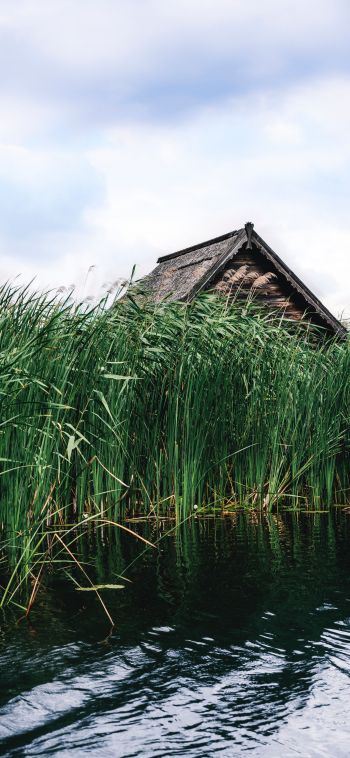 house in the reeds Wallpaper 1080x2340