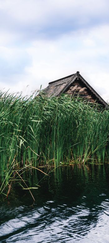 house in the reeds Wallpaper 1440x3200