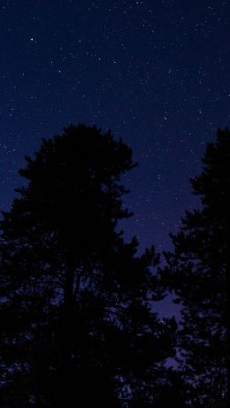Обои 640x1136 звездное небо, ночное фото