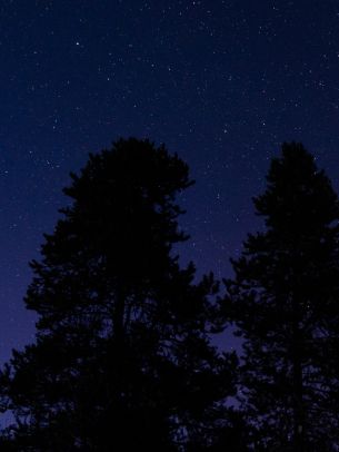 Обои 1620x2160 звездное небо, ночное фото