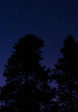 Обои 1640x2360 звездное небо, ночное фото