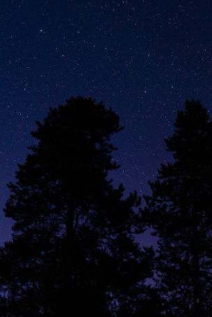 Обои 640x960 звездное небо, ночное фото
