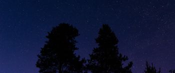 starry sky, night photo Wallpaper 3440x1440