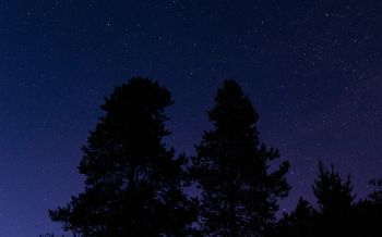 Обои 1920x1200 звездное небо, ночное фото