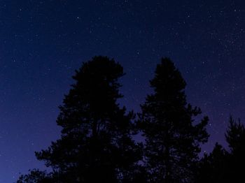 starry sky, night photo Wallpaper 1024x768