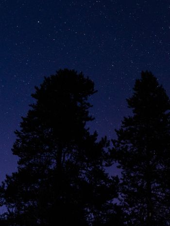 starry sky, night photo Wallpaper 1620x2160