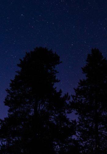 Обои 1668x2388 звездное небо, ночное фото
