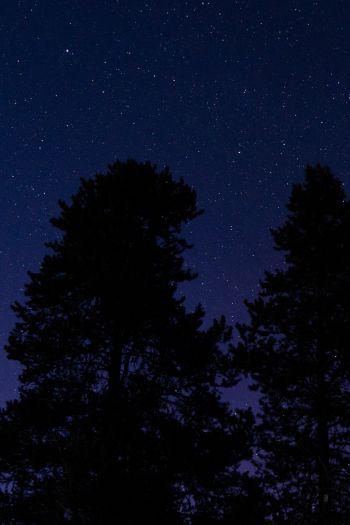 Обои 640x960 звездное небо, ночное фото