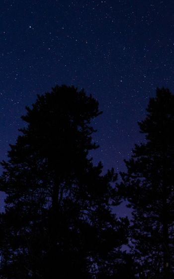 Обои 1752x2800 звездное небо, ночное фото