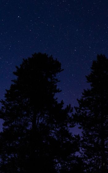 Обои 800x1280 звездное небо, ночное фото