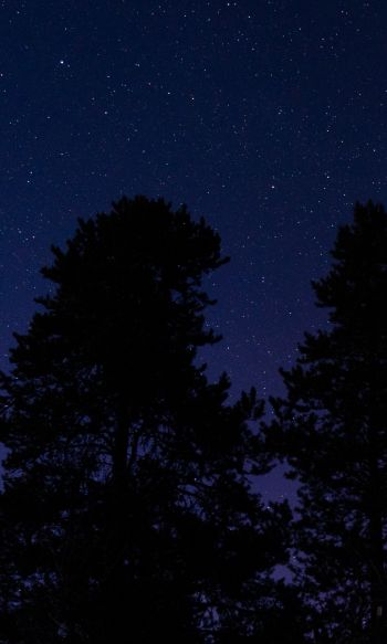 Обои 1200x2000 звездное небо, ночное фото