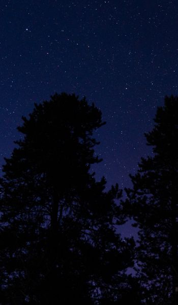 Обои 600x1024 звездное небо, ночное фото