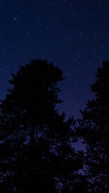 starry sky, night photo Wallpaper 640x1136