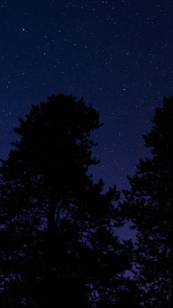 Обои 1440x2560 звездное небо, ночное фото