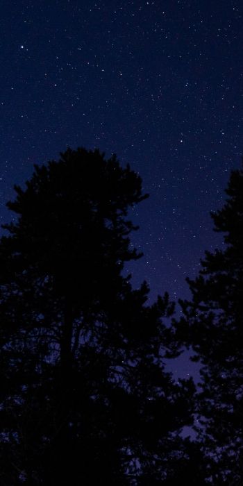 Обои 720x1440 звездное небо, ночное фото