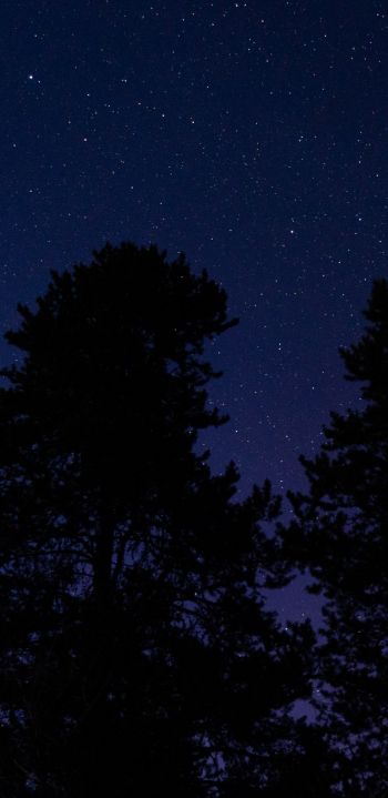 starry sky, night photo Wallpaper 1440x2960