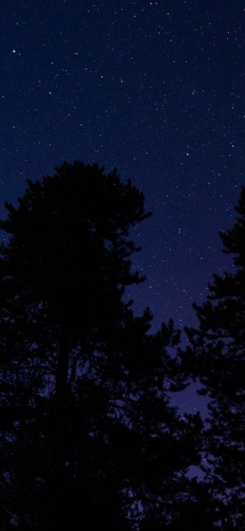 Обои 828x1792 звездное небо, ночное фото