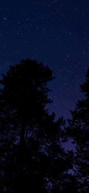 Обои 1080x2340 звездное небо, ночное фото