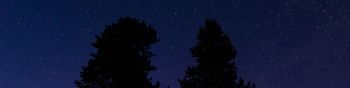 starry sky, night photo Wallpaper 1590x400