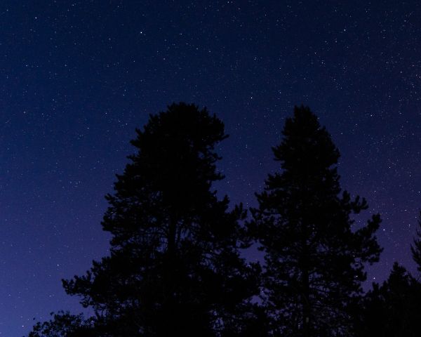 starry sky, night photo Wallpaper 1280x1024