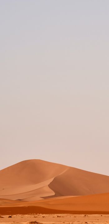 sand mountain Wallpaper 1440x2960