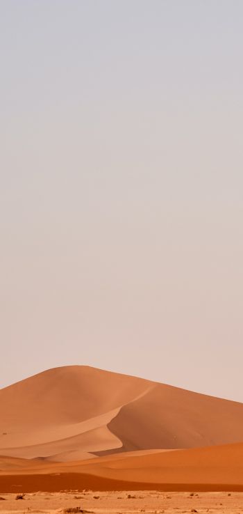 sand mountain Wallpaper 1440x3040
