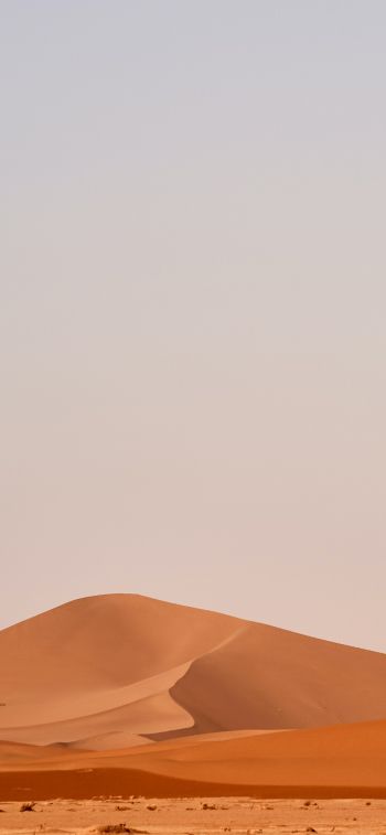sand mountain Wallpaper 828x1792