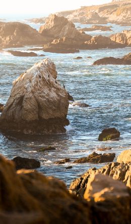 Big Sur, California, USA Wallpaper 600x1024