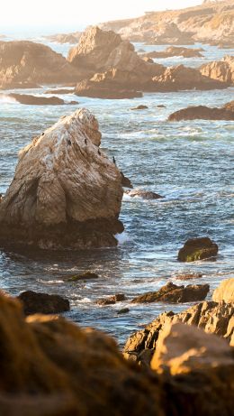 Big Sur, California, USA Wallpaper 640x1136