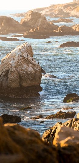 Big Sur, California, USA Wallpaper 1080x2220