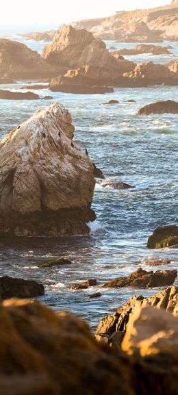 Big Sur, California, USA Wallpaper 1080x2400