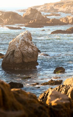 Big Sur, California, USA Wallpaper 1752x2800