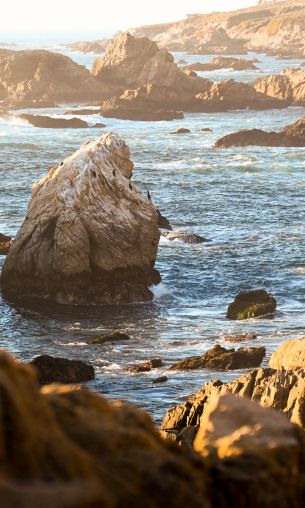 Big Sur, California, USA Wallpaper 1200x2000