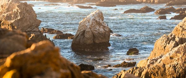 Big Sur, California, USA Wallpaper 2560x1080