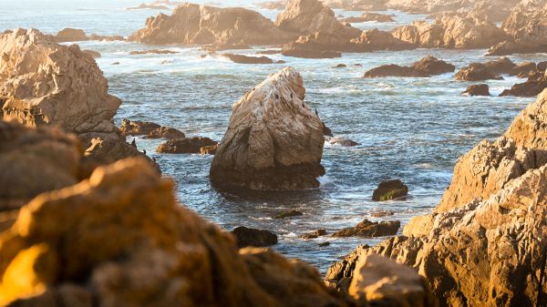 Big Sur, California, USA Wallpaper 2560x1440