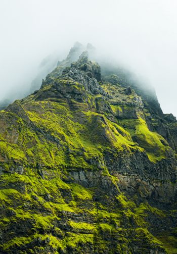 mountain peak, green mountain Wallpaper 1640x2360
